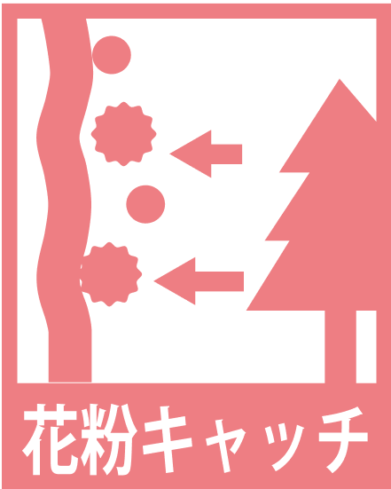 花粉キャッチ
