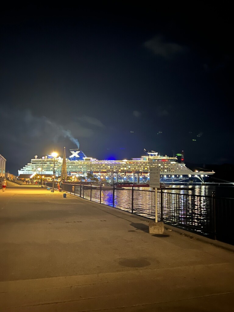 大型客船が入港してました！